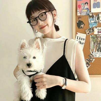 小子布里斯3